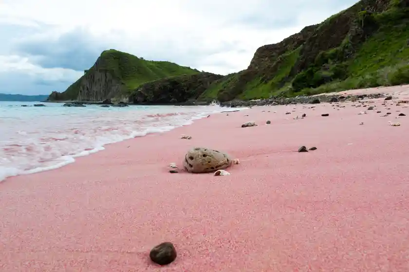 Panoramic view of Padar Island Beach with pink sands and turquoise waters in Komodo National Park